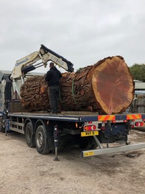 Oversized Timber